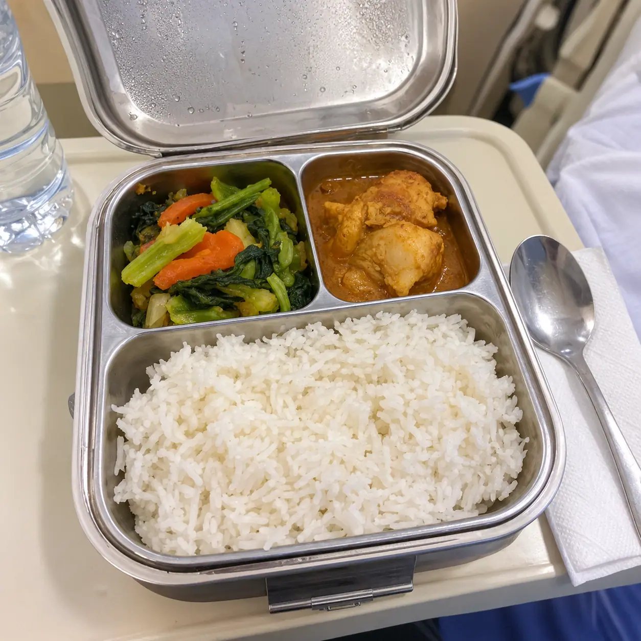 Photo of a delivered lunch box with rice, chicken and vegetables